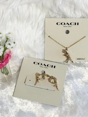 Coach Skeletal Rexy Pendant
Necklace and Earring Set
